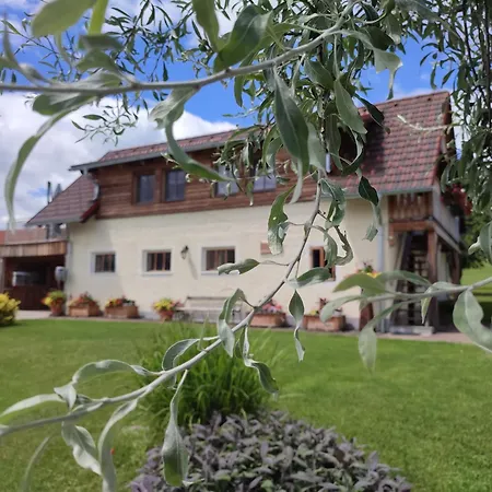 Appartement Promschhof à Semriach Extérieur photo