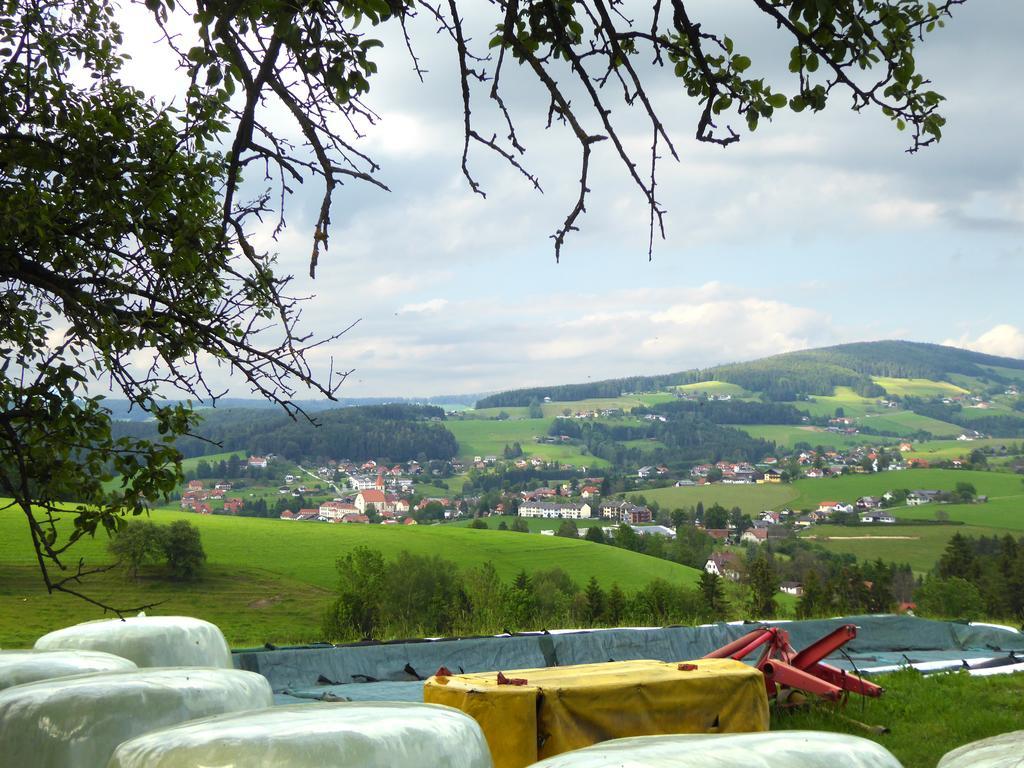 Promschhof Apartment